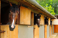 free Marsh Common stable construction quotes